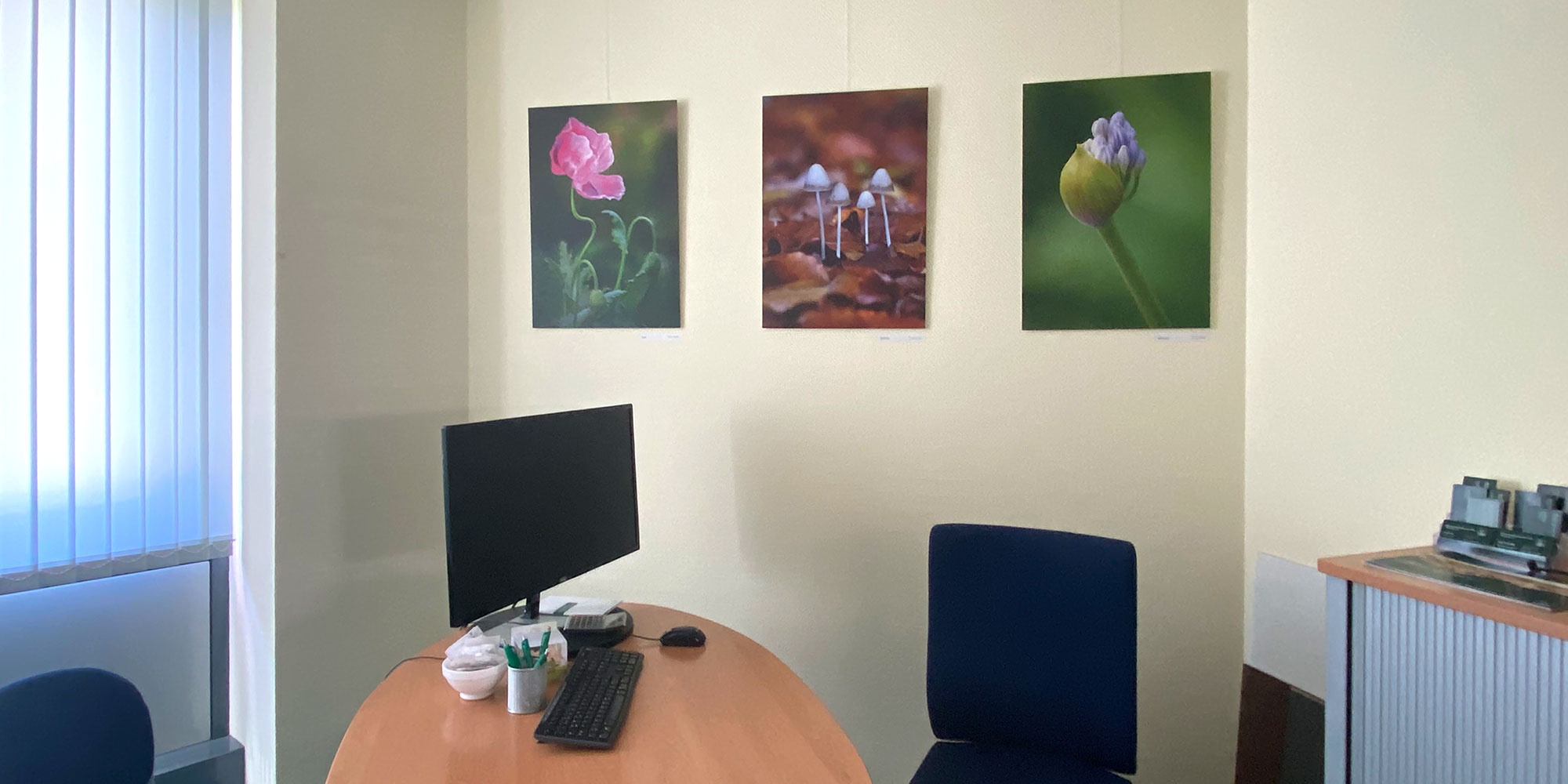 Fotoclub-Ausstellung "Bewegte Bilder"