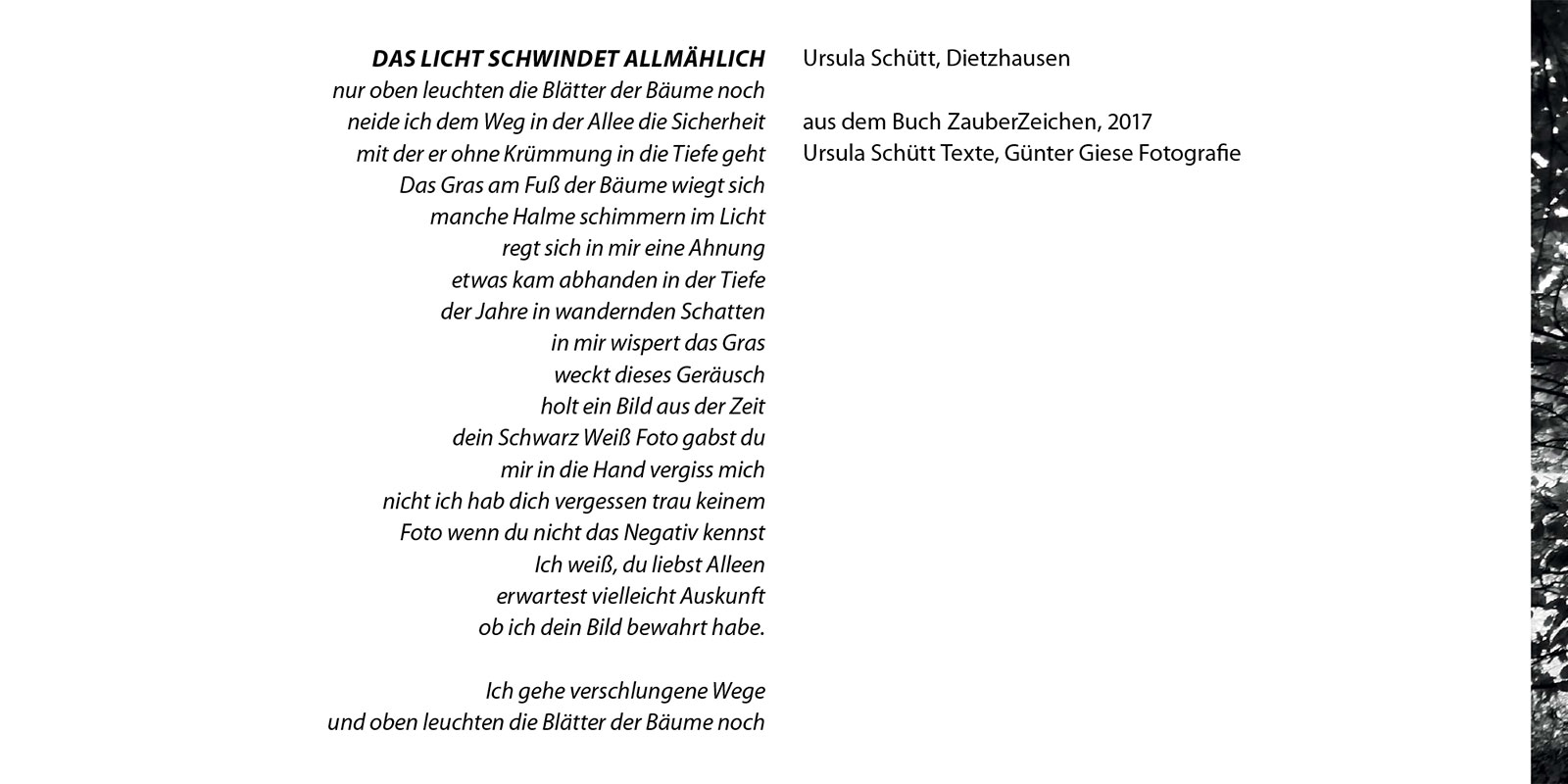 2025-trauerkarte-gg-fotoclub-kontrast-suhl-02 Trauerkarte des Fotoclubs Kontrast Suhl zum Tod von Günter Giese am 22.01.2025 (Text: Ursula Schütt, aus dem Buch ZauberZeichen, 2017)