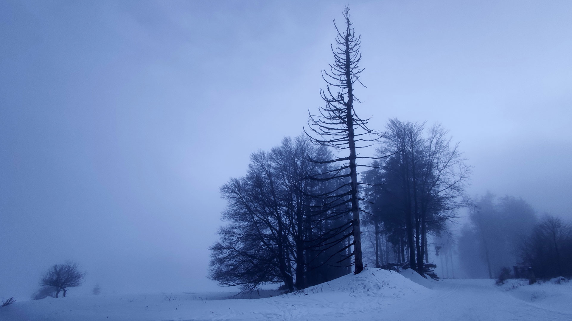 Abschied (Foto: Peter Maximilian Schmidt)
