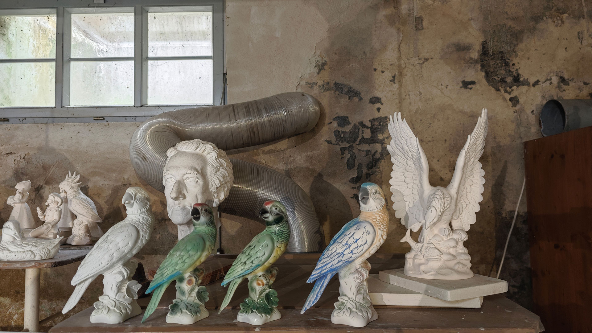 Bunte Vögel (Foto: Peter Maximilian Schmidt)