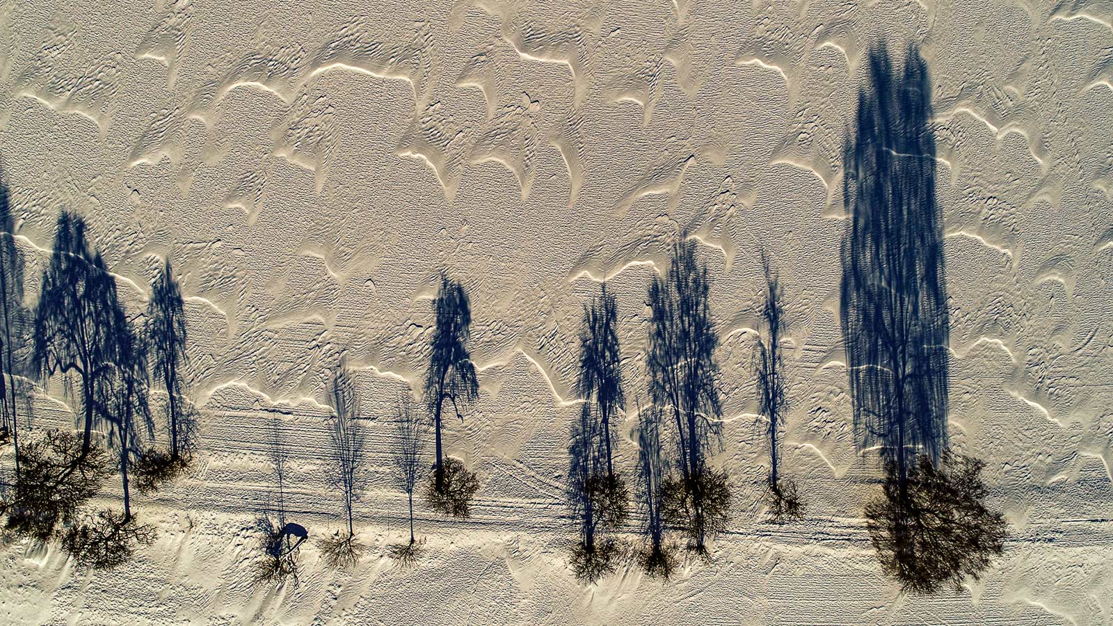 Dünen und Schatten (Foto: Uli Pfeufer)