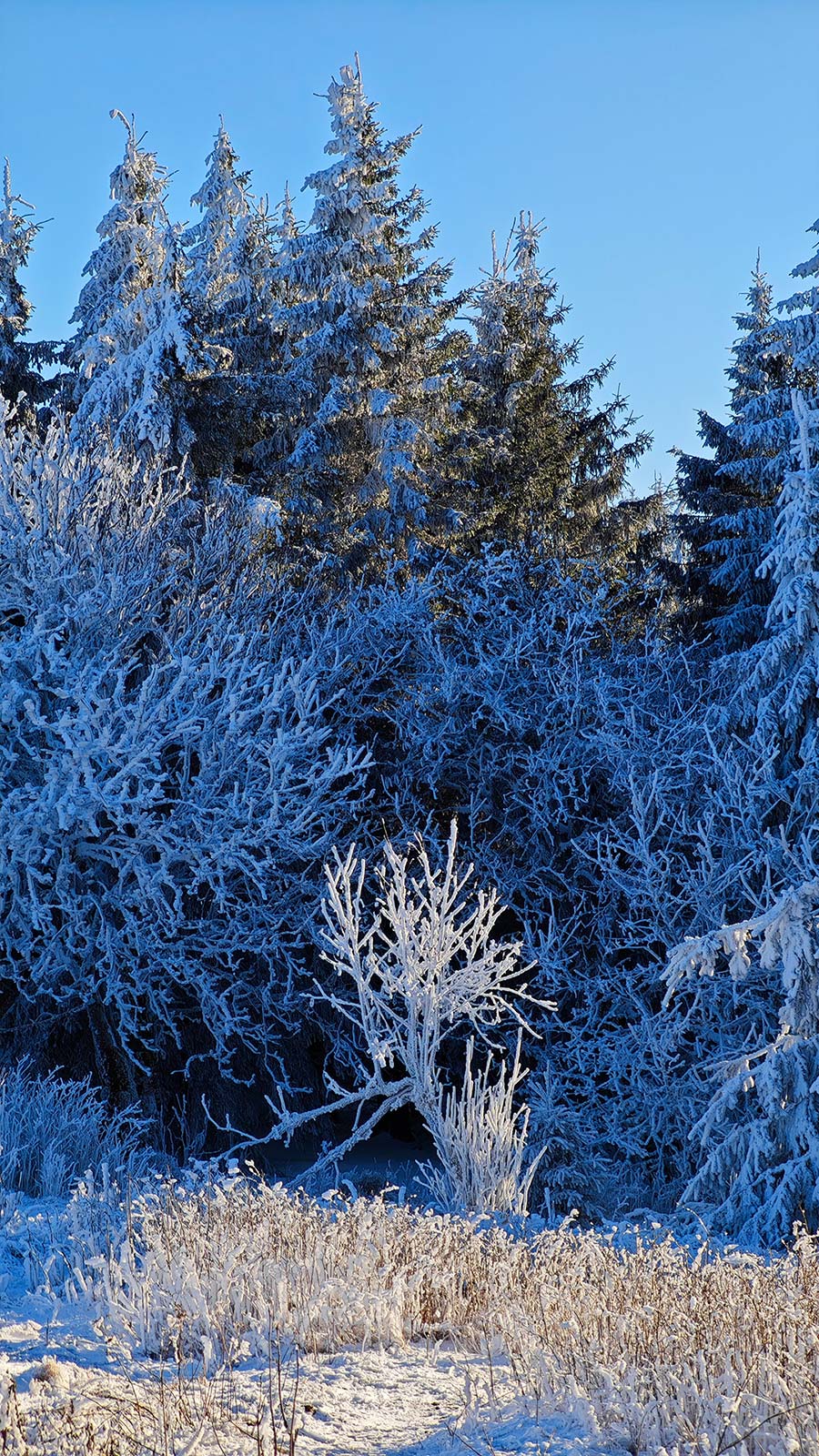 Eiszeit (Foto: Peter Maximilian Schmidt)