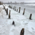 Stralsund (Foto: Dietmar Schmidt)