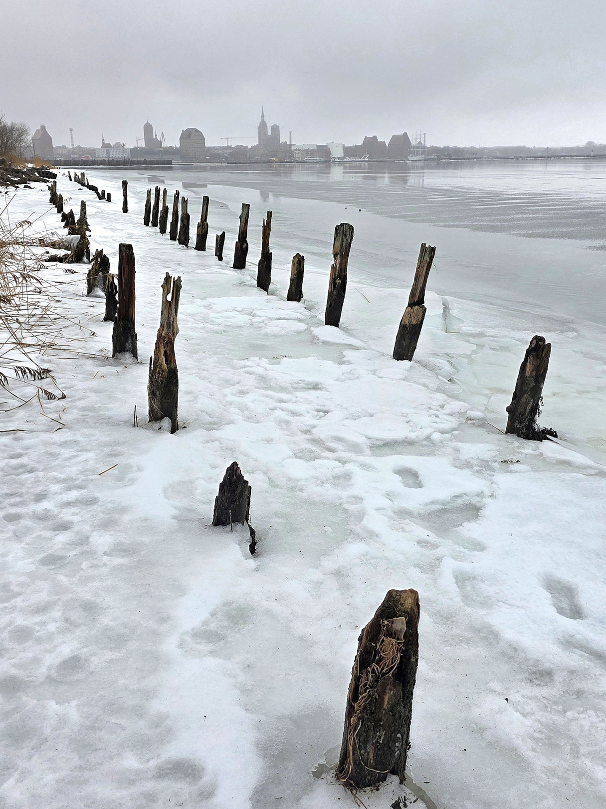 Stralsund (Foto: Dietmar Schmidt)