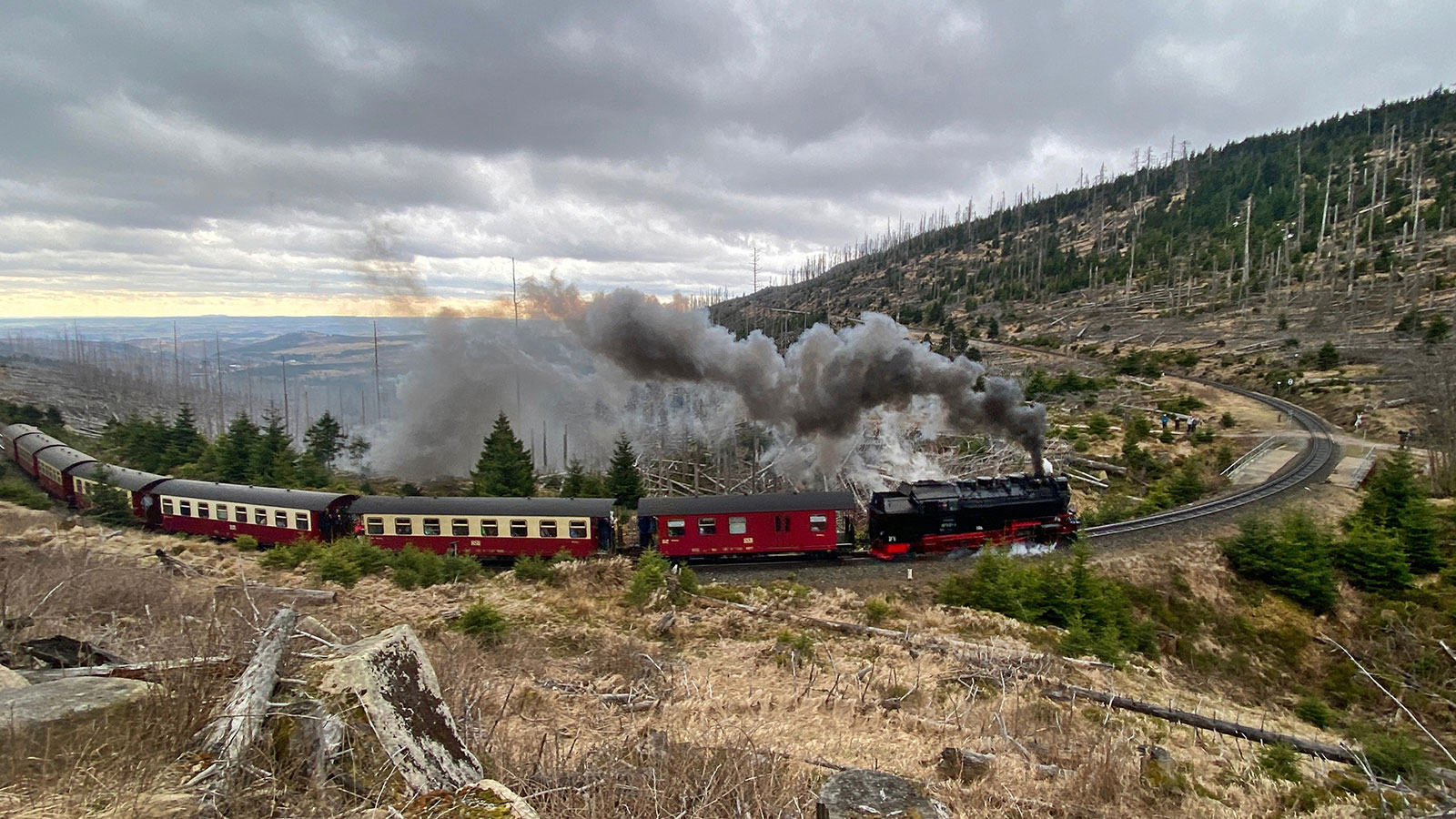 Serie: Harzdampfer 2 (Foto: Andreas Kuhrt)