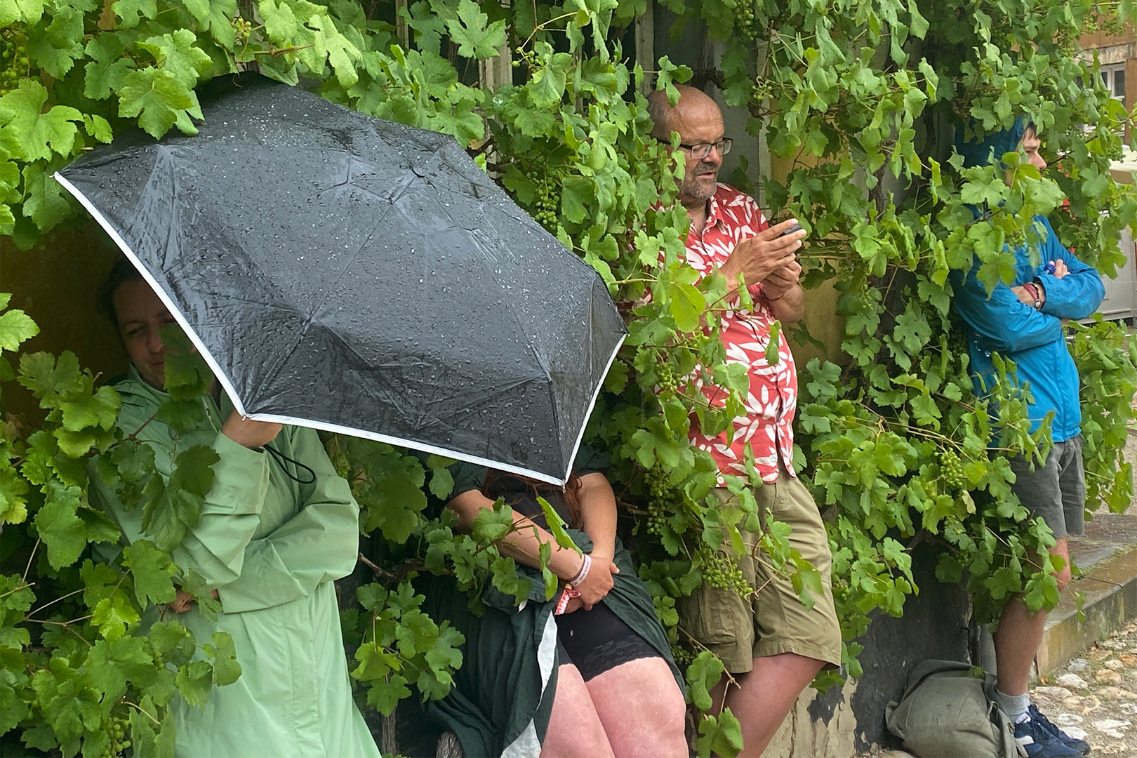 Serie: Regensburg in Rudolstadt 3 (Foto: Andreas Kuhrt)