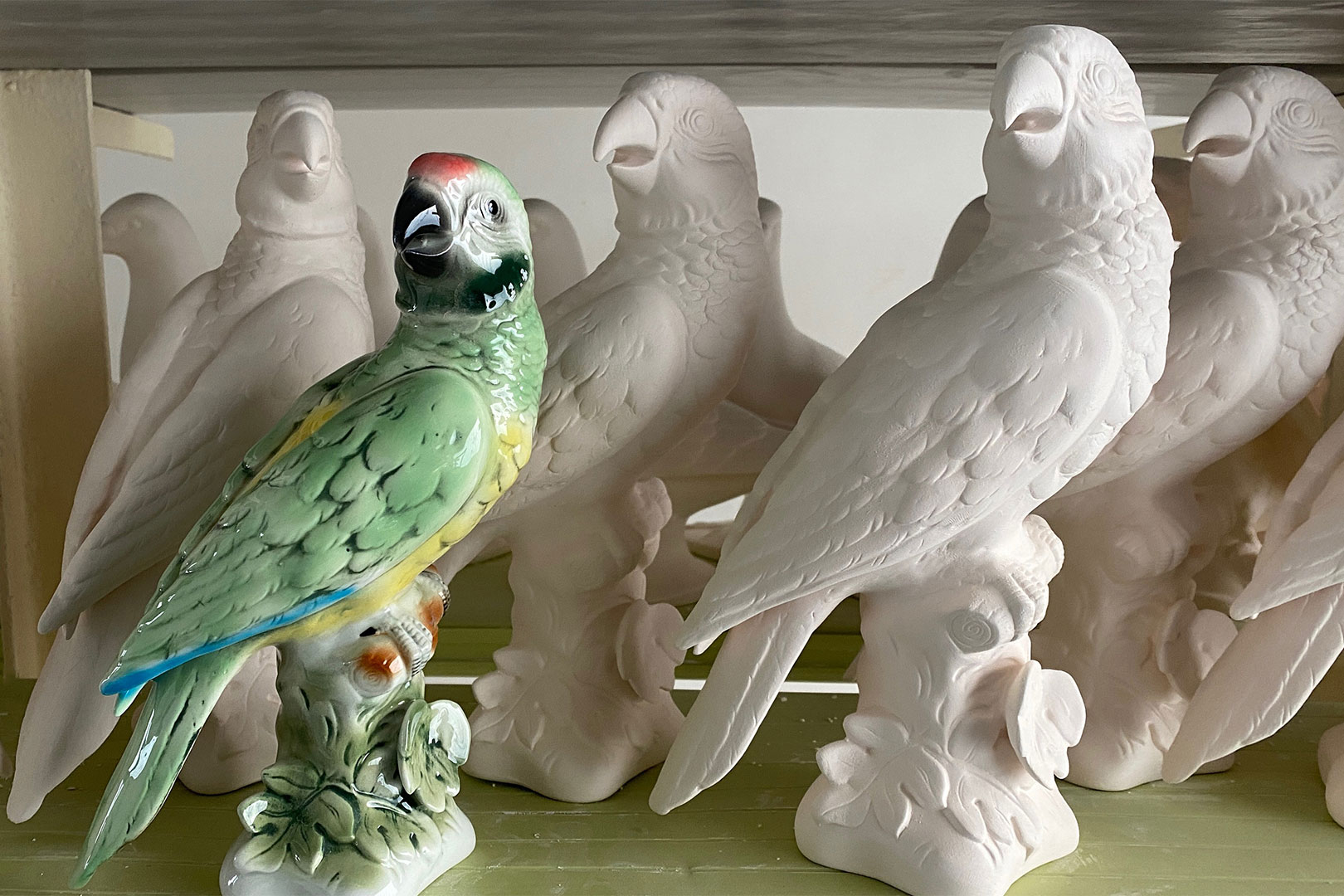 Ein bunter Vogel (Foto: Andreas Kuhrt)