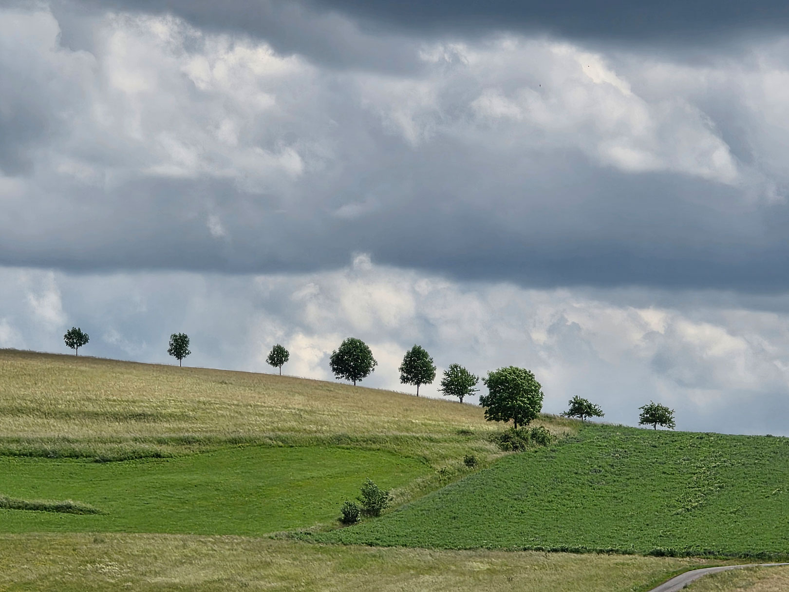 Sommertag (Foto: Dietmar Schmidt)