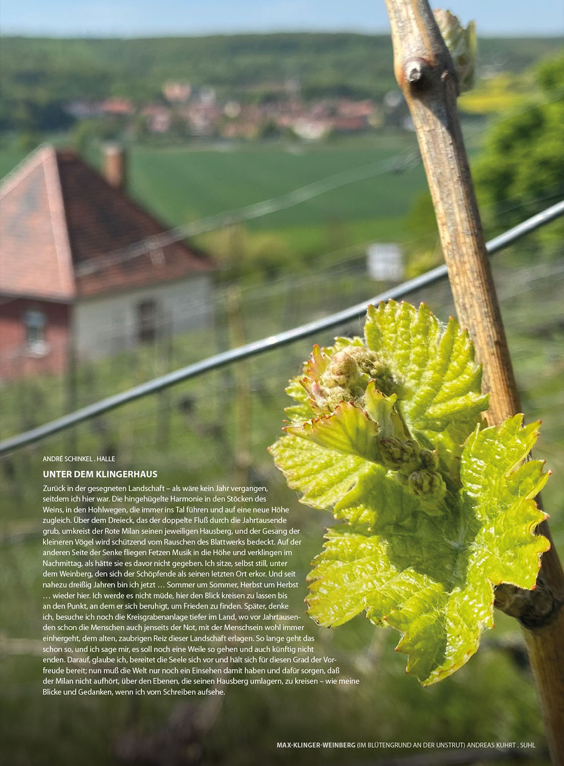 Fotoausstellung: David Schütt "Farbenspiel"