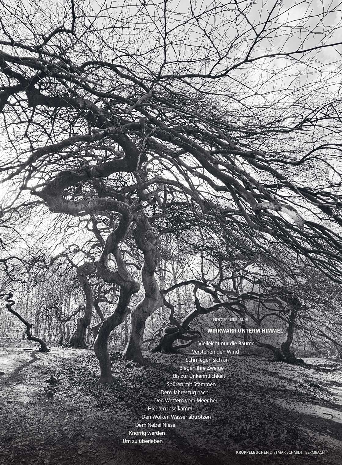 Dietmar Schmidt: Krüppelbuchen + Holger Uske: Wirrwarr unterm Himmel
