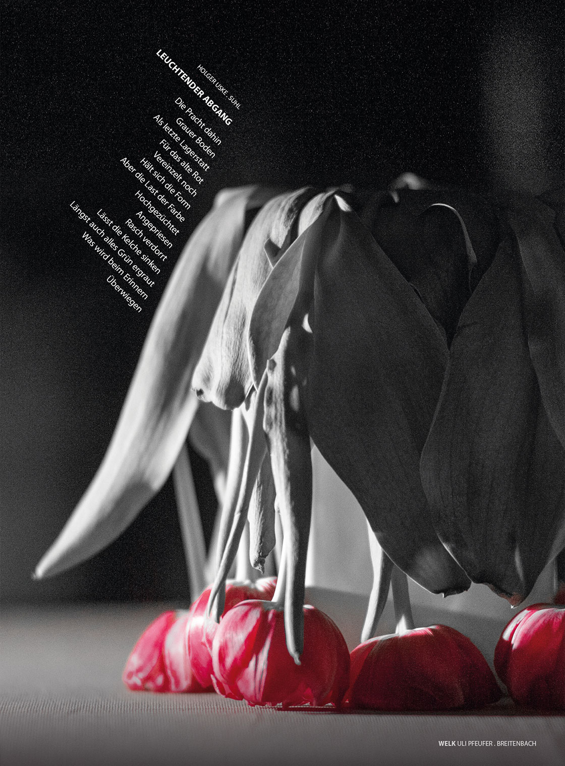 Uli Pfeufer: Welk + Holger Uske: Leuchtender Abgang