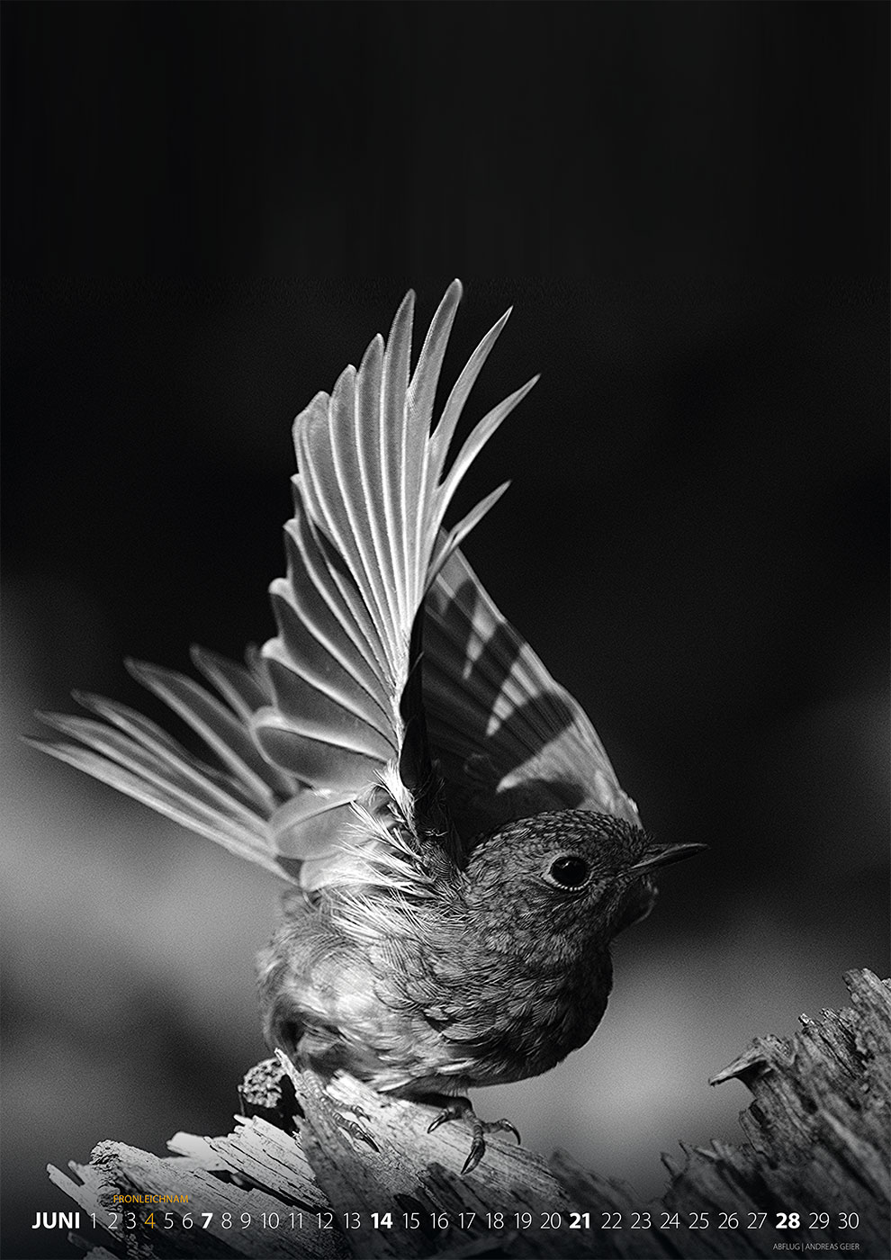 Fotoclub Kontrast Suhl Kalender 2026: Abflug (Foto: Andreas Geier)