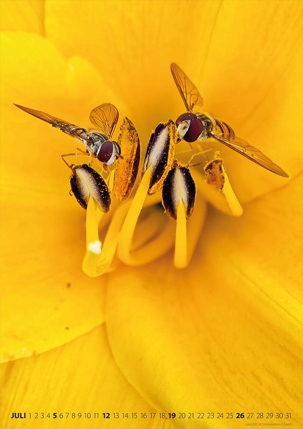 Fotoclub Kontrast Suhl Kalender 2026: Mahlzeit (Foto: Peter Maximilian Schmidt)