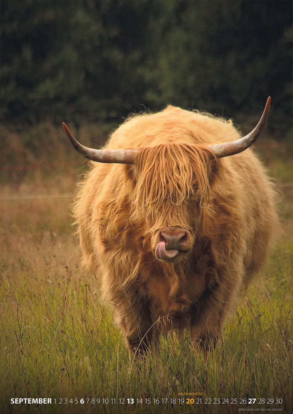 Fotoclub Kontrast Suhl Kalender 2026: Jizerka Highland (Foto: Michael Oehlsen)