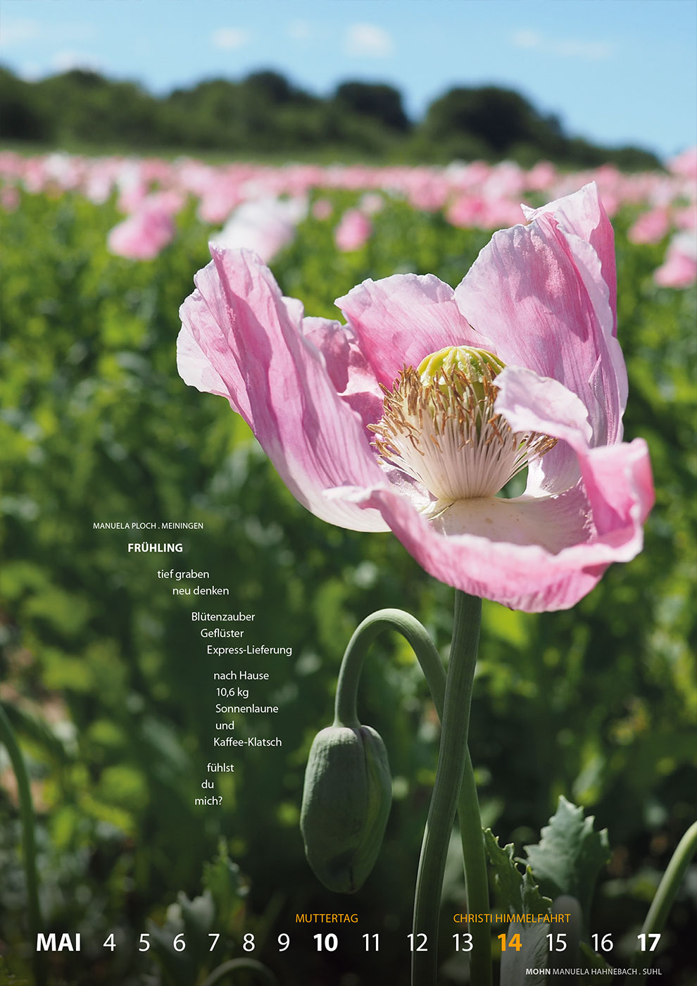 Literaturkalender Thüringer Ansichten 2026 (Foto: Manuela Hahnebach, Gestaltung: Designakut 2025)