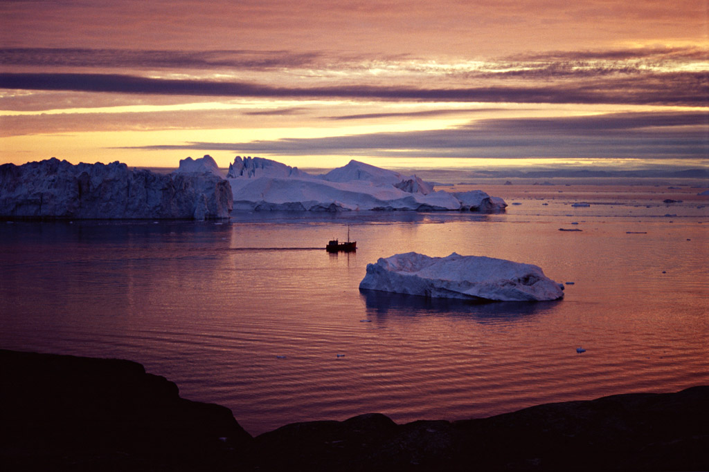 Eisfjord (Foto: Manuela Hahnebach)