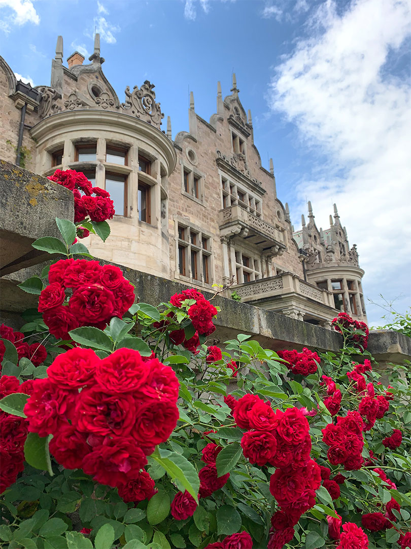 Verwunschen (Foto: Andreas Kuhrt)