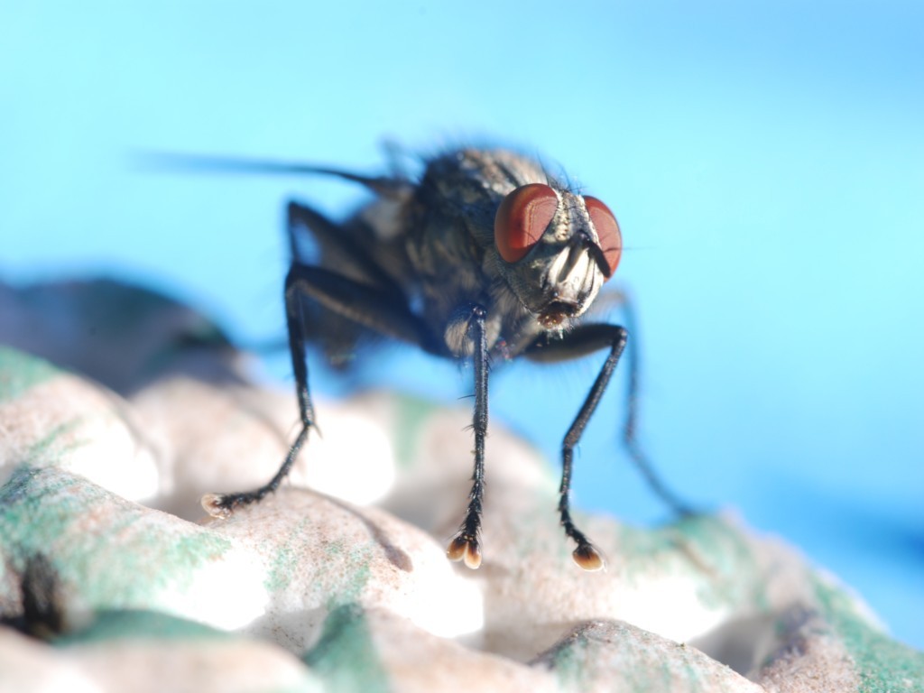 Fotoclubausstellung "Schau!" abbauen