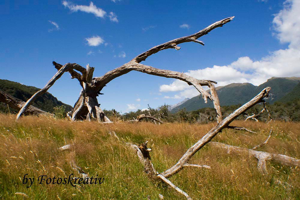 (Foto: Frank Hausdörfer)