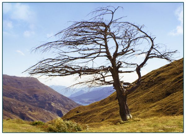 Im Windkanal (Foto: Frank Hausdörfer)