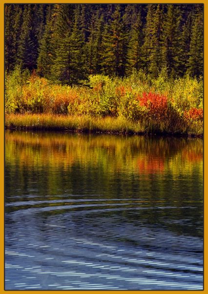 Indian Summer (Foto: Frank Hausdörfer)