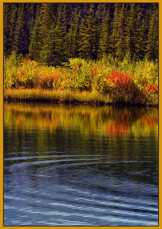 Indian Summer (Foto: Frank Hausdörfer)