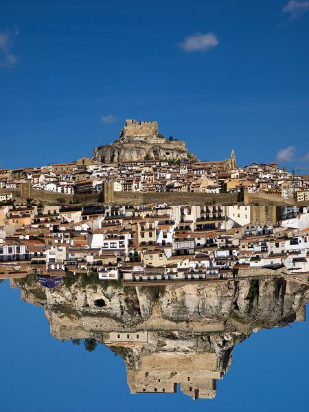 Morela (Foto: Ute Zohles)