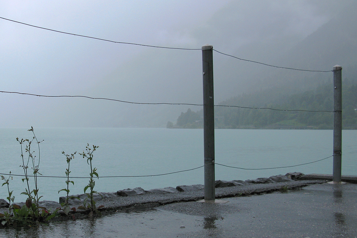 Regennachmittag (Foto: Peter Maximilian Schmidt)