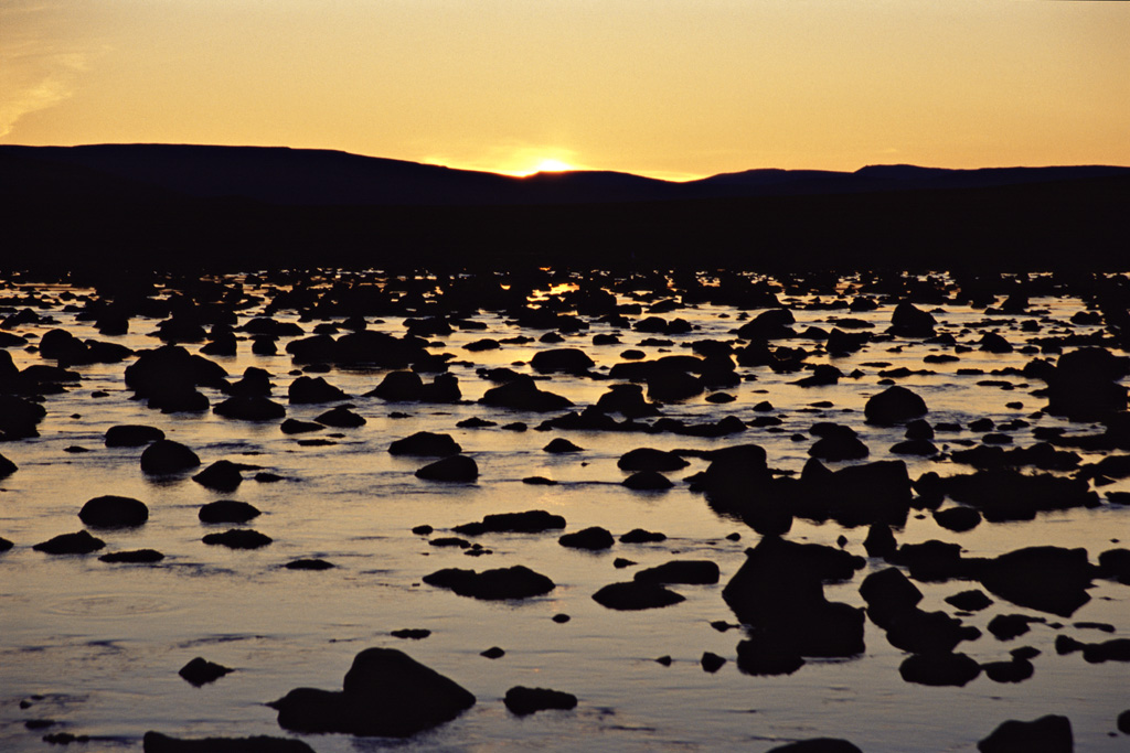 Fotoclub: Bild des Monats 07.2020