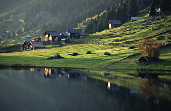 Ufergrün (Foto: Ines Koch)