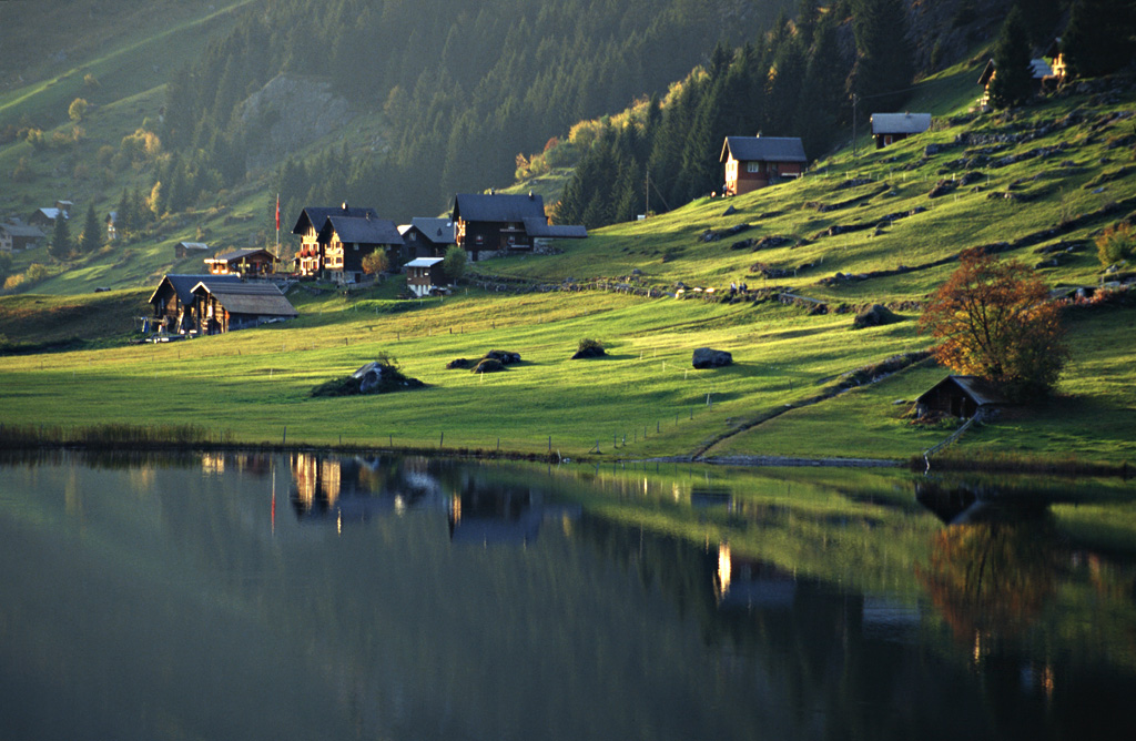 Ufergrün (Foto: Ines Koch)