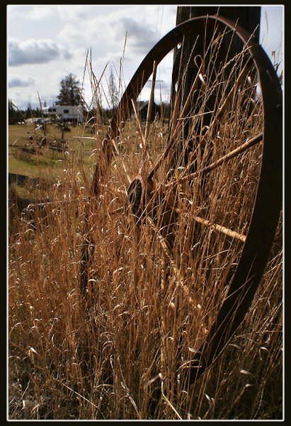 Vergessen (Foto: Frank Hausdörfer)
