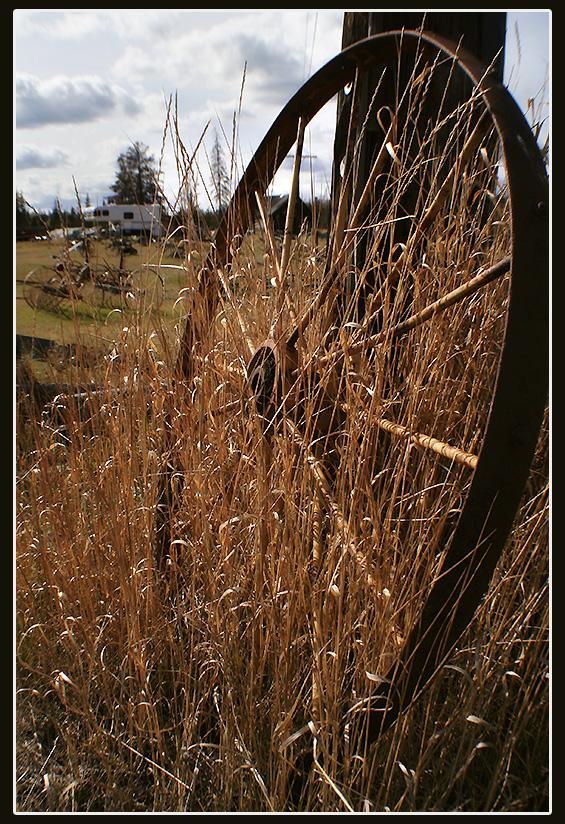 Vergessen (Foto: Frank Hausdörfer)