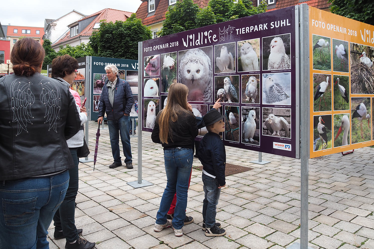 Fotoclub: Bild des Monats 1.2018
