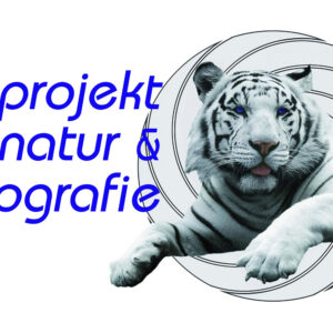 Fotowettbewerb Glanzlichter 2022