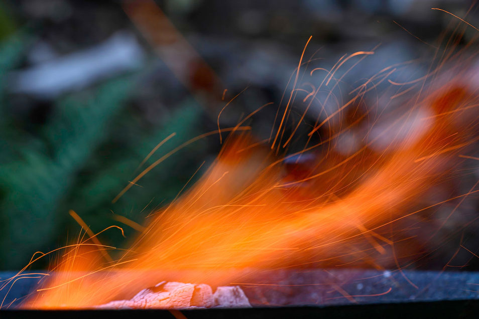 Garten-Grill-Feuer (Foto: Michael Ritter)