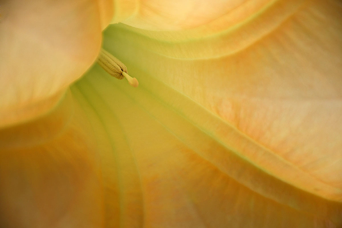 Fotoclub