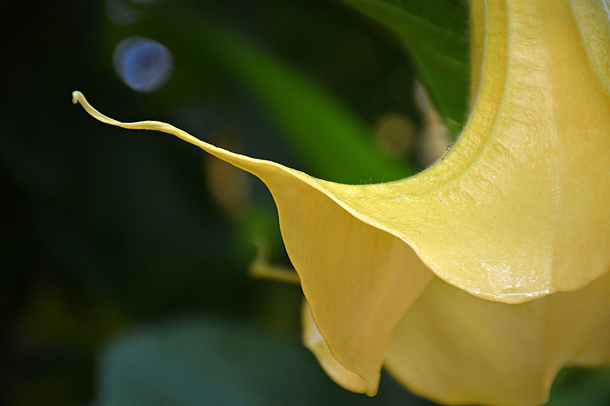 Fotoclub