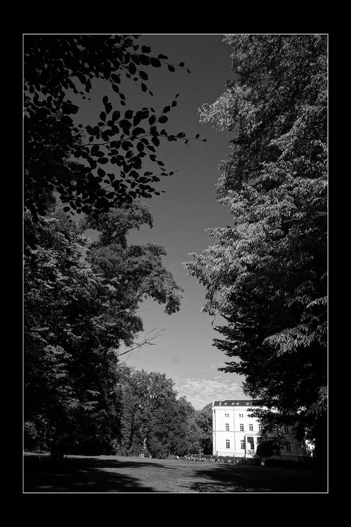 Serie: Parkspaziergang 2 (Foto: Günter Giese)