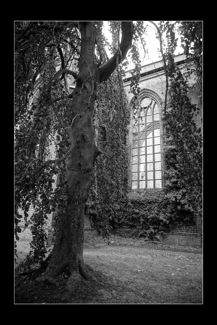 Serie: Parkspaziergang 3 (Foto: Günter Giese)