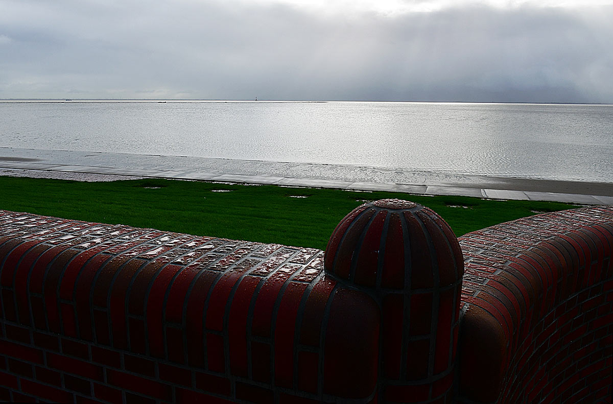 zz02-Nach-dem-Regen-1-GG-7.33-1 Serie: Nach dem Regen 1 (Foto: Günter Giese)