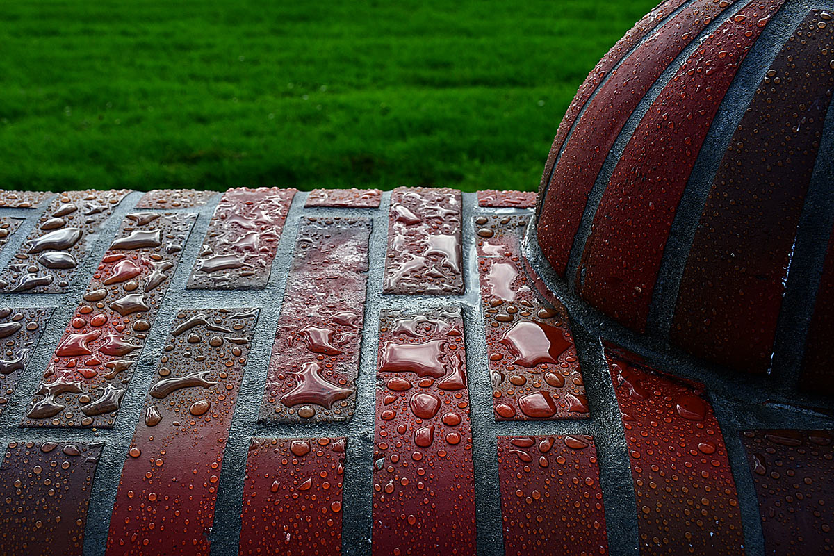 zz02-Nach-dem-Regen-2-GG-7.33-1 Serie: Nach dem Regen 2 (Foto: Günter Giese)