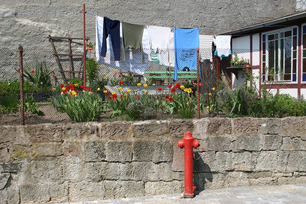 Serie: Wäsche (Foto: Peter Maximilian Schmidt)