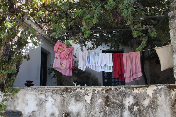 Serie: Wäsche (Foto: Peter Maximilian Schmidt)