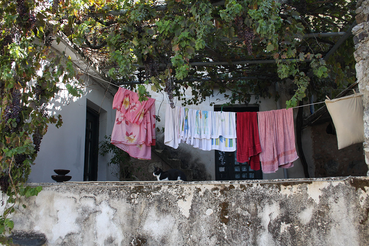 Serie: Wäsche (Foto: Peter Maximilian Schmidt)