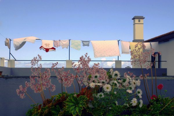 Serie: Wäsche (Foto: Peter Maximilian Schmidt)