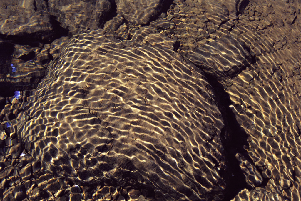 GfF Thüringen Landesversammlung