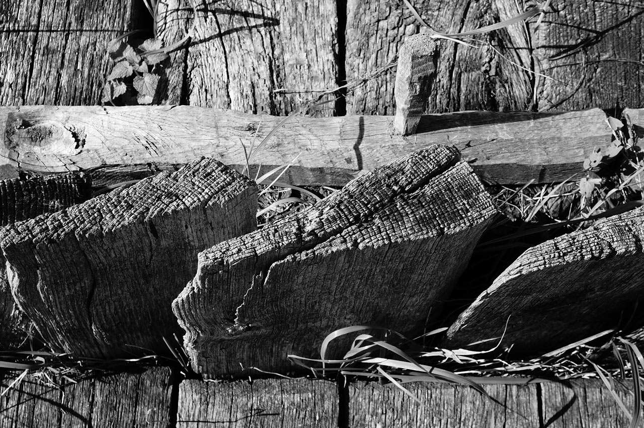Garten-Fotoclub bei Uli