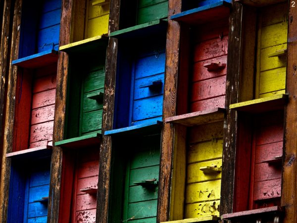 Serie: Stille - Winterruhe (Foto: Peter Zastrow)