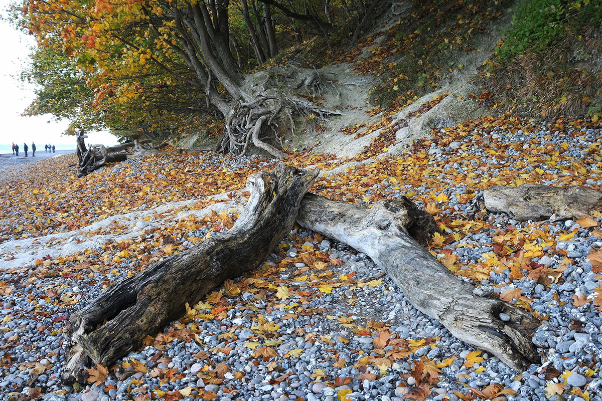 Fotoclub: Mappenbewertung Lichtbildkombinat Gera